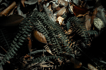 
jungle of matte greens and warm tones
