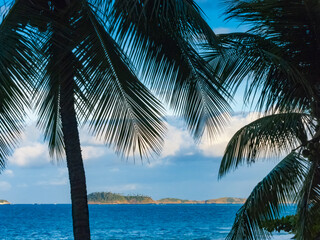 Fototapeta na wymiar Ocean view with islands and palm trees, Rio de Janeiro