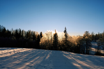 Obraz premium The snow covered forest just outside of downtown Oslo, Norway. It is a beautiful forest that many people use for recreation. Cross country, tenting, fishing and hunting is popular. Also alpine skiing.