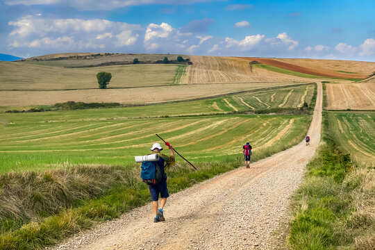 Pilgrims Walking the Picturesque Landscapes of Fields and Rolling Hills of the La Rioja Region of Spain on the Way of St James - Camino de Santiago