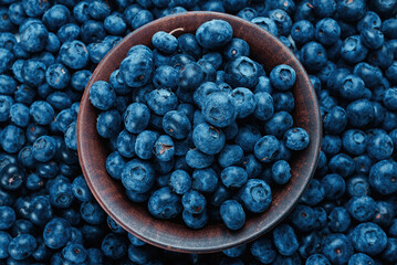 Fresh blueberry background.
