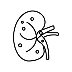 Kidney protein medical line icon