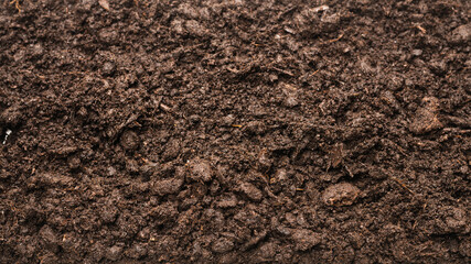 Black land for plant background.