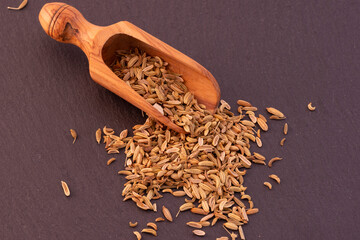 finocchietto selvatico