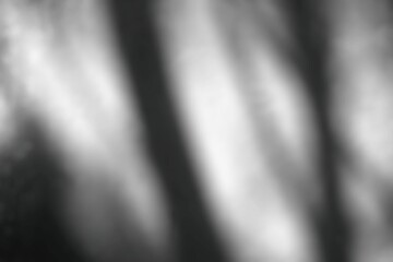Blurred Tree Shadow Effect for Color Cast Background.