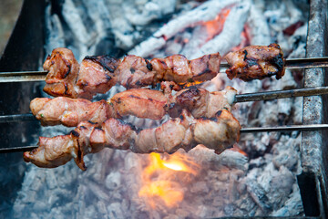 Barbecue on the grill on the fire in the forest.The concept of a food tourist