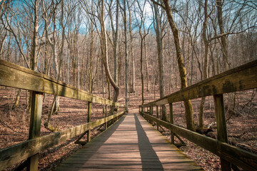 Low angle perspective on a wooden bridge on a trail  at Radnor Lake State Park, Nashville, Tennessee. 