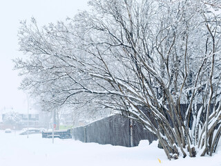 Winter snow storm in Montreal Canada on Jan 15, 2021