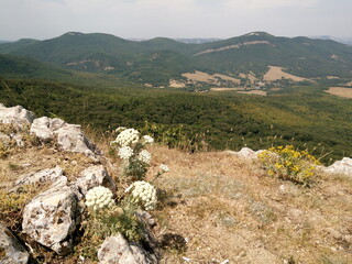 landscape in the mountains
