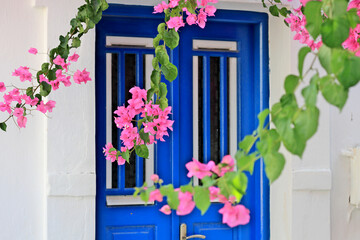 Picturesque corner at a traditional house with blue wooden door and blossomed flowers, in Kythnos island, Cyclades, Greece, Europe