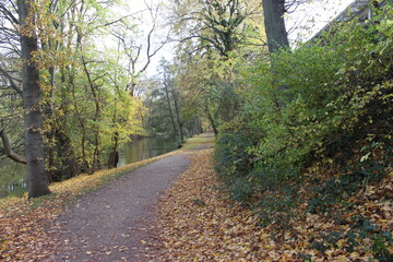 Verwunschner  Pfad 2