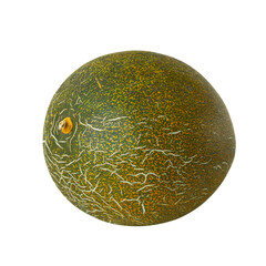 Melon isolated on white background close up
