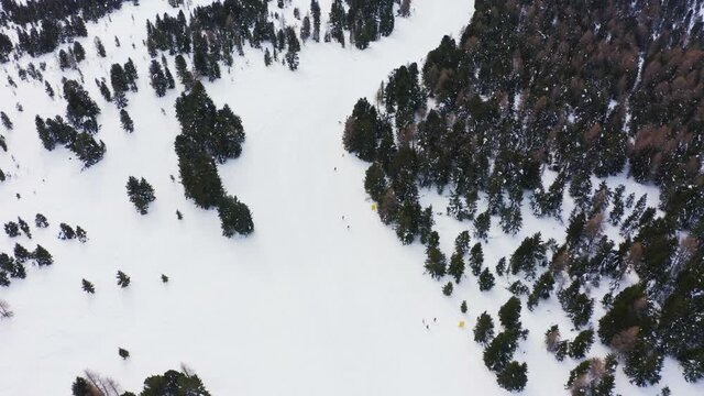 Beautiful aerial drone shot of winter landscape with snow and green pine and fir trees during cold day in Italy. Skier skiing down the snow covered mountains.