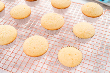 Baking cupcakes