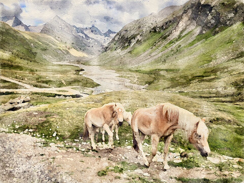 Haflinger horses in the wilderness of the Austrian Alps in Tyrol. Mountain landscape watercolor illustration.