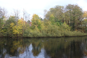 Fototapeta na wymiar Teich im Herbst 3