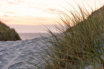 dunes at sunset