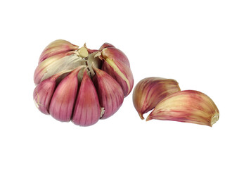fresh garlic isolated on white background