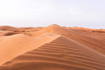 Fototapeta na wymiar Wahiba sands desert in Oman