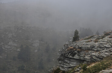 mist in the mountains