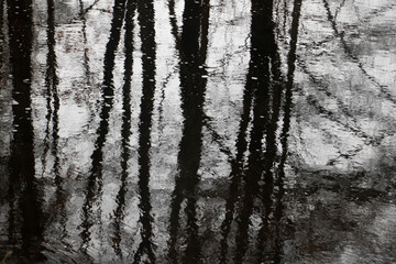 Bare Trees Reflected in a Rainy Stream. Abstract contrast image on a grey day.