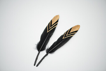 Black bird feathers with a gold pattern on the end on a white background. Boho style.