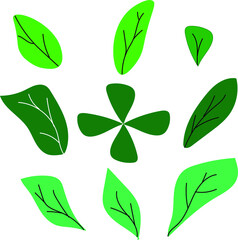 green leaves set
