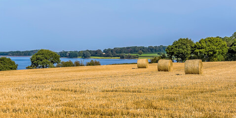 Fototapeta premium Gathering in the hay on the shores of Rutland Water reservoir in summertime