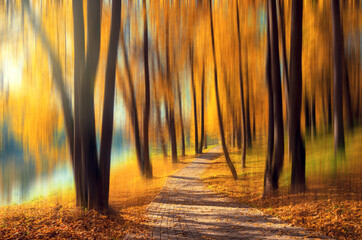 Abstract autumn landscape with road in park and blurred trees in forest during sunny october morning