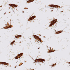 cockroach, drawing of a black and color cockroach, pattern