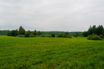 landscape field with hills and forests in summer .