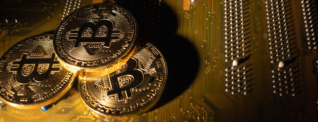three gold bitcoin coins on the motherboard. Cryptocurrency course concept. Baner. Copy space.