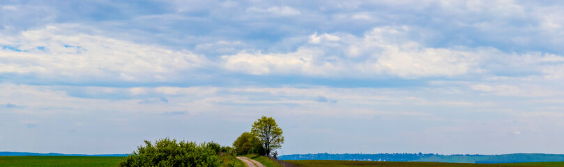 Summer landscape with a tree on a narrow strip of land and a blue sky with white clouds, panorama