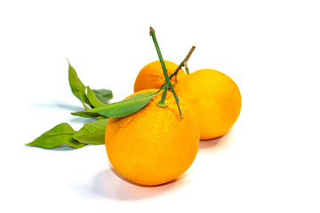 Oranges. Ripe round fruits with green twigs and leaves. Textured orange peel. Close-up on a white background.