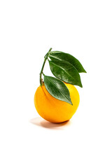 Orange. A ripe round fruit with a green twig with leaves. Textured orange peel. Close-up on a white background.