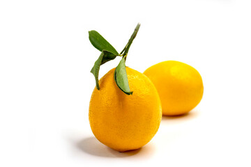 Lemons. Ripe yellow-orange fruits with green twigs and leaves. Textured crust. Healthy citrus. Close-up on a white background.