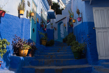 Fototapeta na wymiar narrow street in the blue city Chefchaouen, Morocco