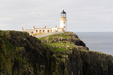 Fototapeta na wymiar lighthouse on the coast in Scotland