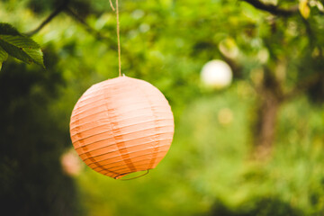 Lampion hanging from tree at wedding paper lantern