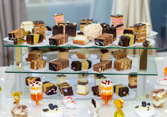 Wedding sweet table with a variety of delicious sweets. Table with various cookies, tarts, cakes, cupcakes and cakepops. Sweet table at the banquet. sweet buffet table.
