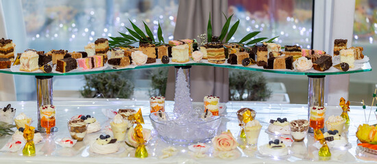 Wedding sweet table with a variety of delicious sweets. Table with various cookies, tarts, cakes, cupcakes and cakepops. Sweet table at the banquet. sweet buffet table.
