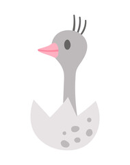 Vector ostrich nestling icon. Little African bird illustration. Cute just hatched animal sitting in egg shell isolated on white background. .