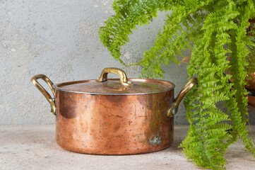 Old copper casserole and green plant