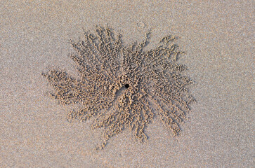 sand on the beach