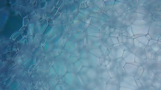 Soap foam popping bubbles background. Abstract white foam bubbles structure.