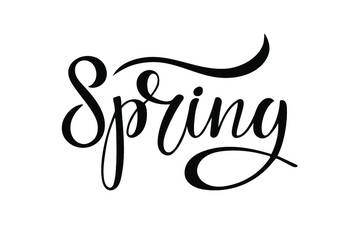 Spring calligraphy lettering isolated black on white. Hand drawn design for banner, flyer, brochure, card, poster. Spring time illustration. For greeting card, invitation of seasonal spring holiday.