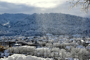 Freiburg Oberau und Wiehre im Winter