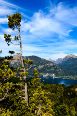 Lake in Bariloche in the summer of March. Sunny. Water and pine trees.