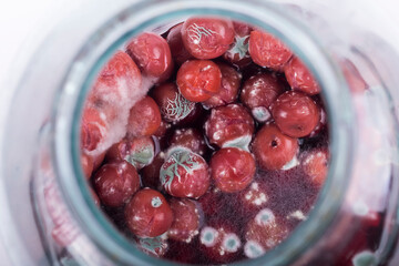 A glass jar containing red cherries. Covered with fungus, mold. Close-up.