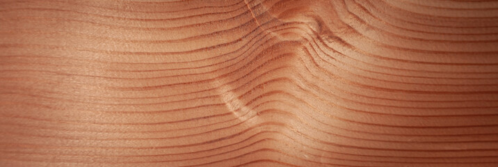 texture of the wood